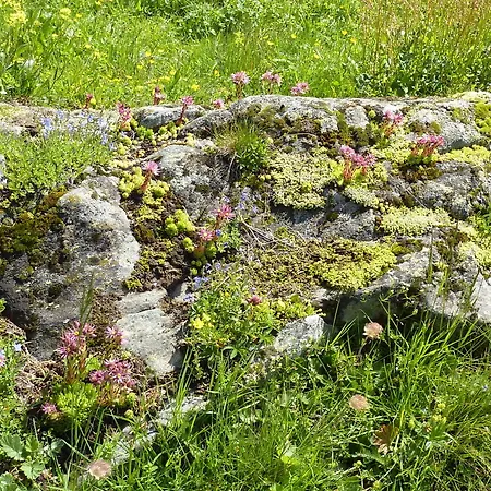 La Cordée Des Alpes Sup Verbier